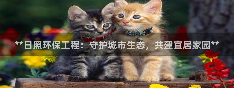 彩名堂.netnet：**日照环保工程：守护城市生态，共建宜居家园**