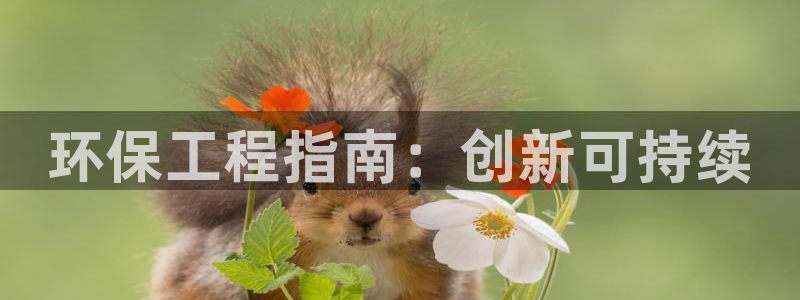 彩名堂app官方网址是多少：环保工程