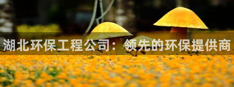 彩名堂一直不出结果怎么回事呀：湖北环