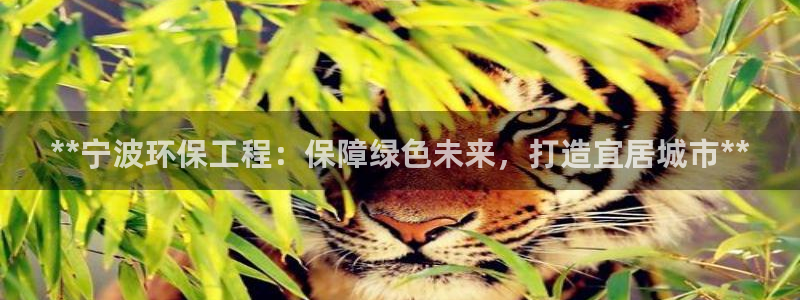 彩名堂旧版本：**宁波环保工程：保障