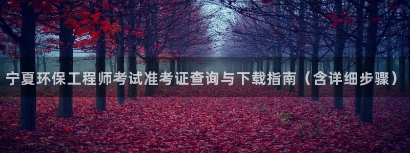彩名堂怎么用不输：宁夏环保工程师考试