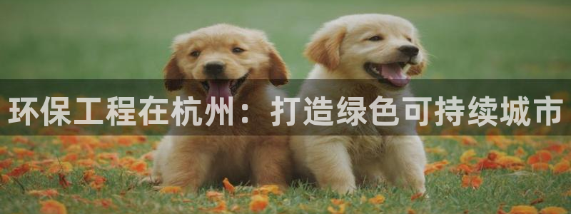 彩名堂免费计划官网50：环保工程在杭