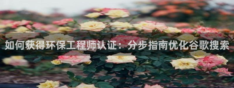 彩名堂客户：如何获得环保工程师认证：