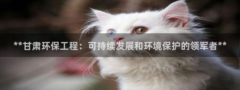 彩名堂客户：**甘肃环保工程：可持续