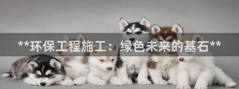 彩名堂怎么跟计划才不连挂呢：**环保