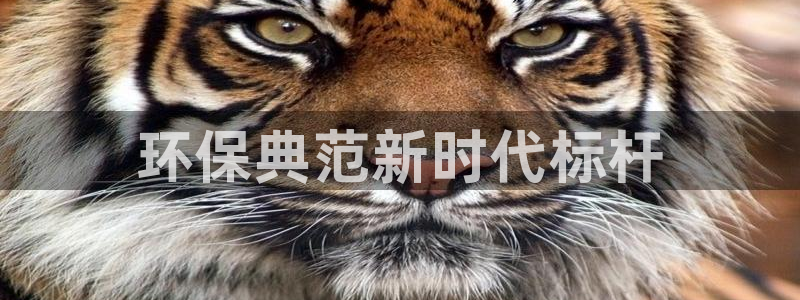 彩名堂一直不出结果怎么回事呢：环保典