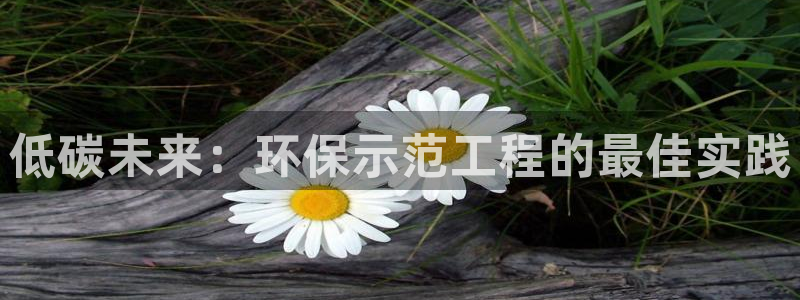 彩名堂官网计划：低碳未来：环保示范工程的最佳实践