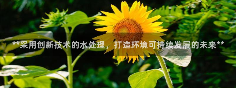 彩名堂移动客户端怎么下载：**采用创