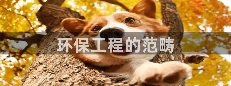 彩名堂客户：环保工程的范畴