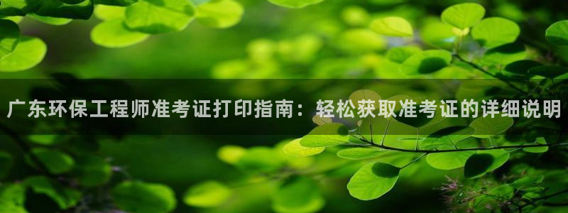 彩名堂在线下载：广东环保工程师准考证