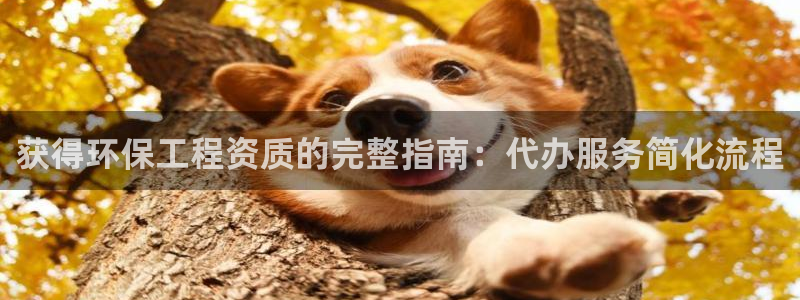 彩名堂免费计划官网怎么进不去了呢：获得环保工程资质的完整指南：代办服务简化流程