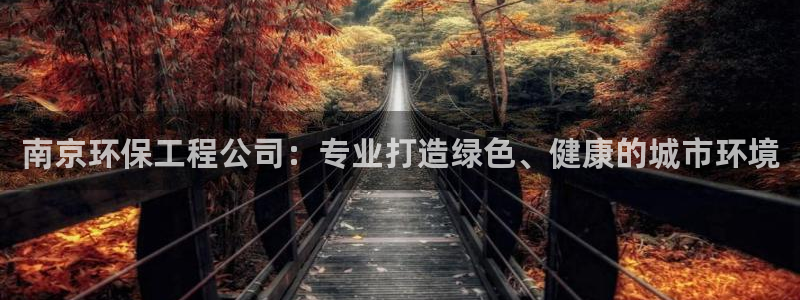 老版彩名堂：南京环保工程公司：专业打