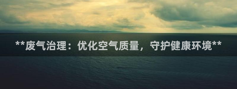 彩名堂官网：**废气治理：优化空气质