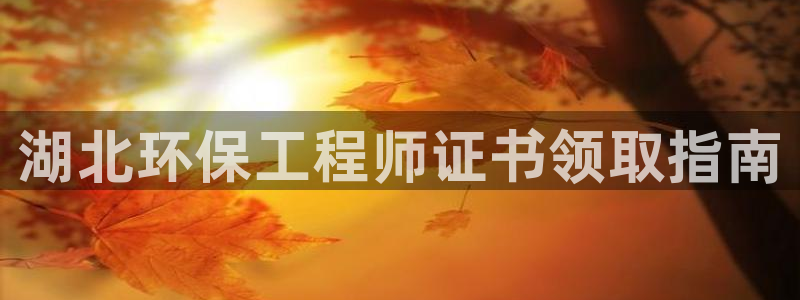如何进入彩名堂官网更新：湖北环保工程师证书领取指南