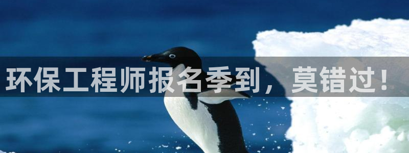 彩名堂预测：环保工程师报名季到，莫错