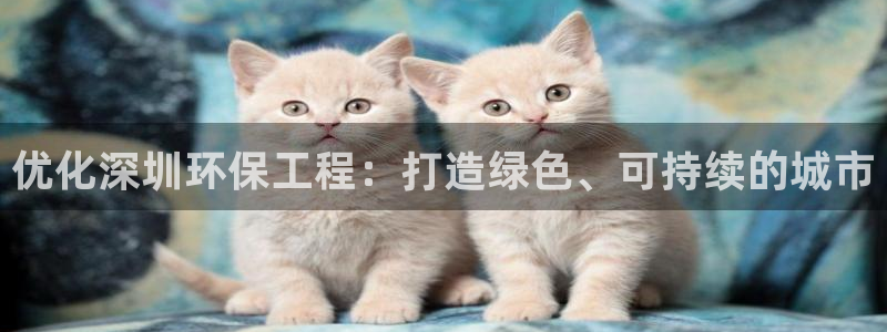 彩名堂是不是不能用了吗：优化深圳环保工程：打造绿色、可持续的城市