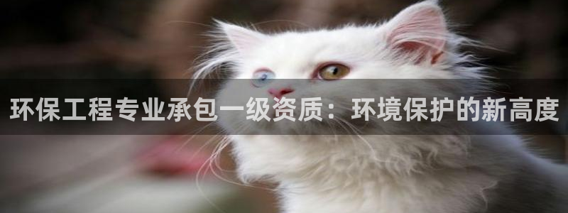 彩名堂01计划：环保工程专业承包一级