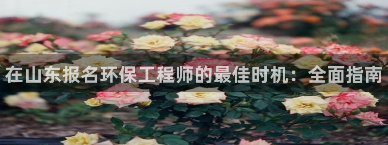 彩名堂app官网：在山东报名环保工程师的最佳时机：全面指南