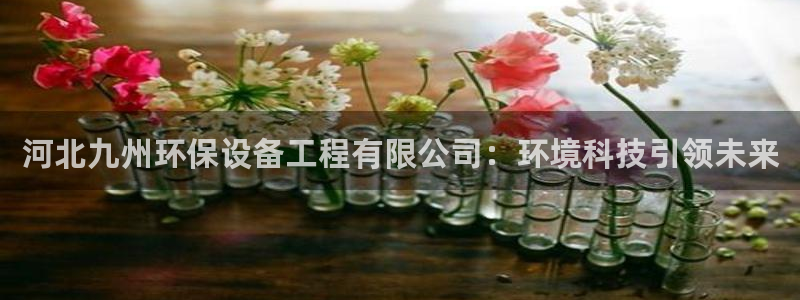 彩名堂怎么选稳定计划：河北九州环保设