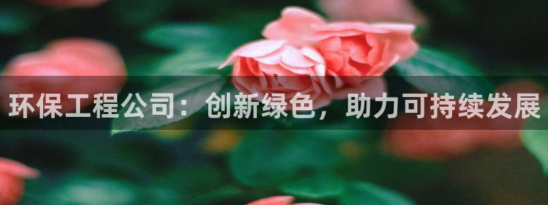 彩名堂人工计划怎么找不到下载了?：环