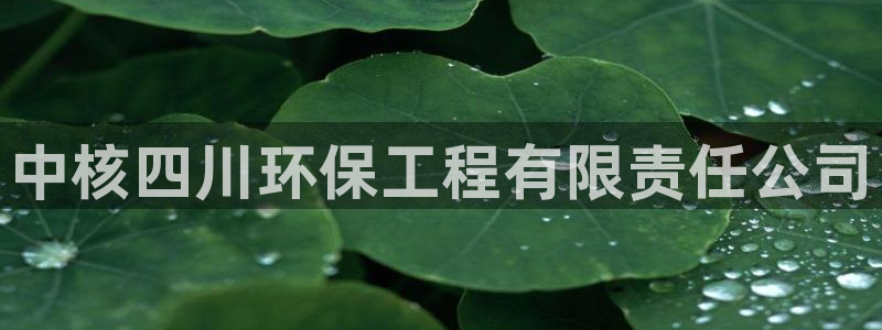 彩名堂手机客户端怎么进不去了：中核四