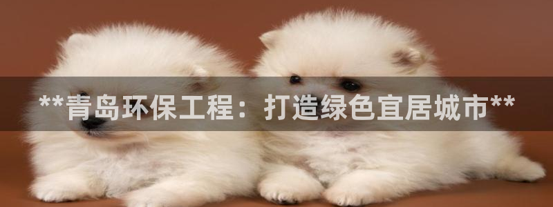 彩名堂人工计划怎么找不到下载了?：*