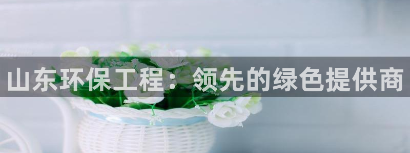 彩名堂计划怎么出的：山东环保工程：领