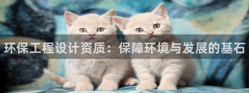 彩名堂怎么用不输：环保工程设计资质：