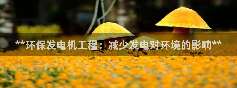彩名堂彩：**环保发电机工程：减少发