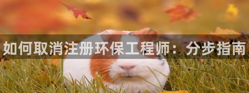 彩名堂幸运飞船计划：如何取消注册环保