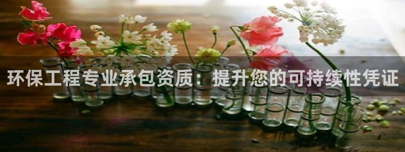 彩名堂改名稻草人了吗：环保工程专业承包资质：提升您的可持续性凭证