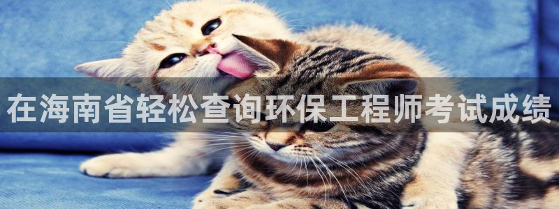 彩名堂计划怎么打不开了：在海南省轻松