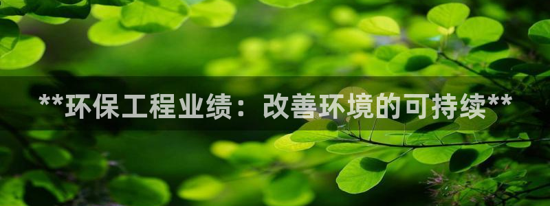 彩名堂用不了：**环保工程业绩：改善