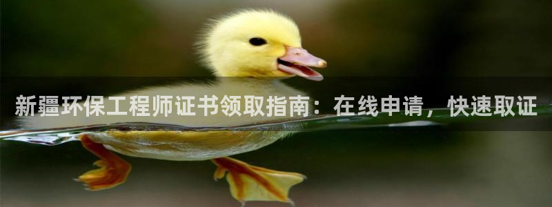 彩名堂还可以用吗：新疆环保工程师证书