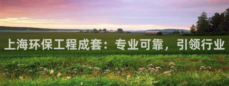 彩名堂怎么买准确率高：上海环保工程成套：专业可靠，引领行业