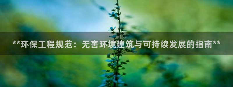 彩名堂5.0!：**环保工程规范：无