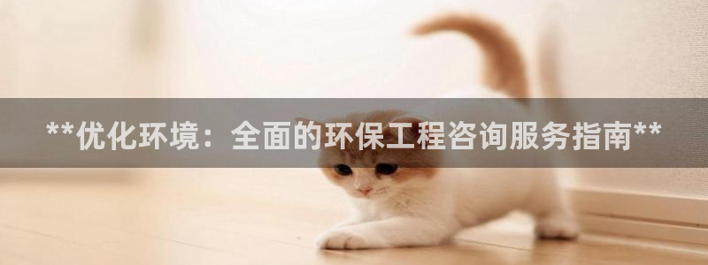 彩名堂怎么选稳定计划：**优化环境：