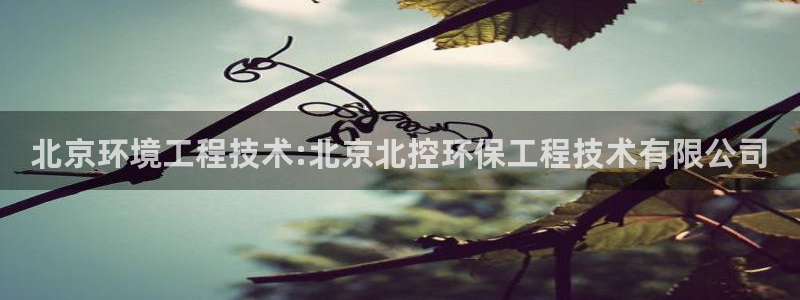 彩名堂计划怎么出的：北京环境工程技术