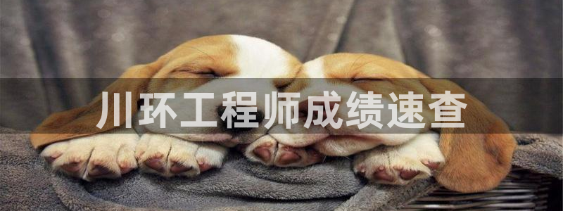 彩名堂免费计划使用方法是什么：川环工