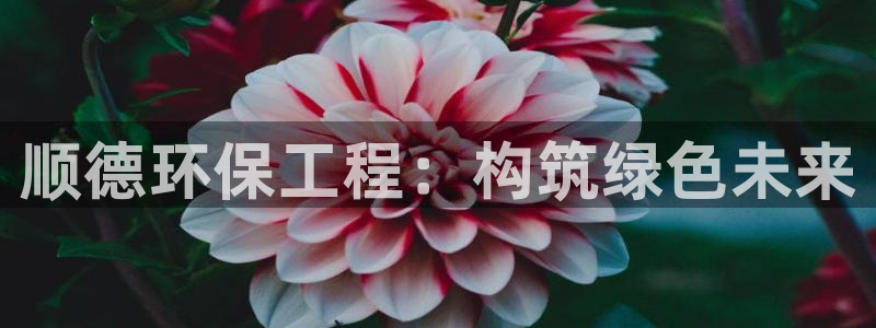彩名堂手机客户端怎么下载：顺德环保工