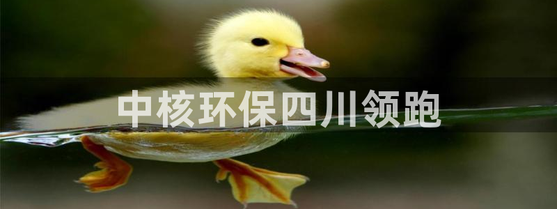彩名堂安卓客户端官网：中核环保四川领