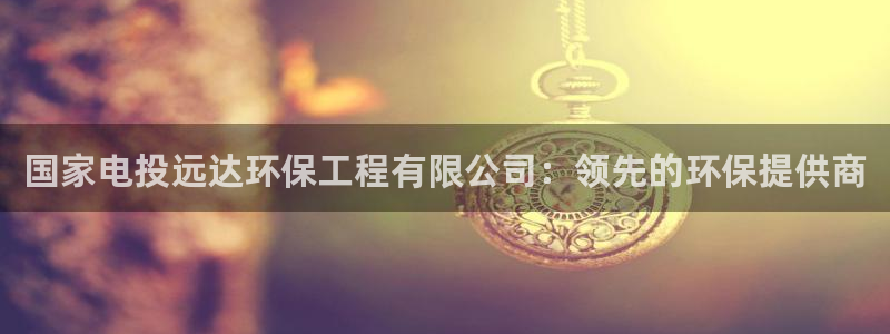为什么彩名堂今天不能用：国家电投远达