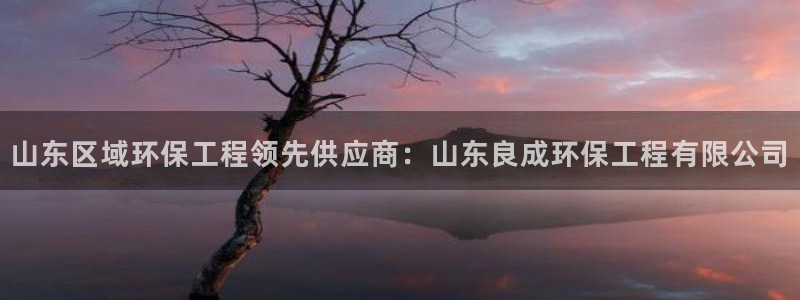彩名堂好用还是千里马好用：山东区域环