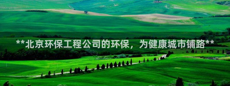 彩名堂人工计划怎么找不到下载了?：*