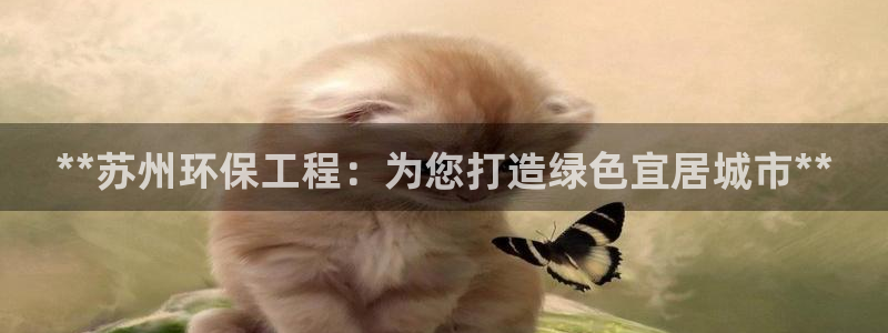 正规彩名堂官网计划：**苏州环保工程