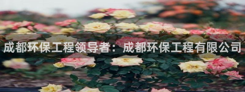 彩名堂计划app安卓免费下载：成都环