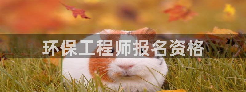 彩名堂是不是坑人的：环保工程师报名资