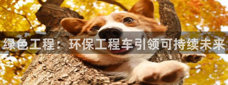 彩名堂为什么突然不能用了：绿色工程：