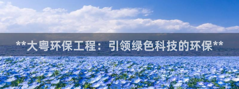 彩名堂App下载：**大粤环保工程：