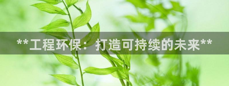 彩名堂怎么选稳定计划产品：**工程环保：打造可持续的未来**